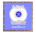 Om Shiva by Azul