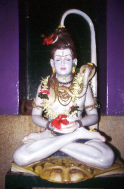 Shiva Adivarapupeta