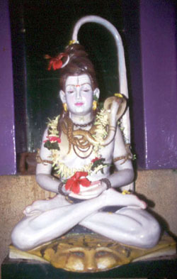 Shiva
