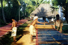 Adivarapupeta weavers